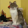 Отзыв от Елена Исаева
